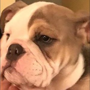 Meet your Posher, Marilyn